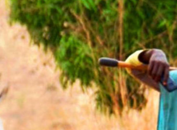 Rencontre avec les Populations Autochtones du Cameroun