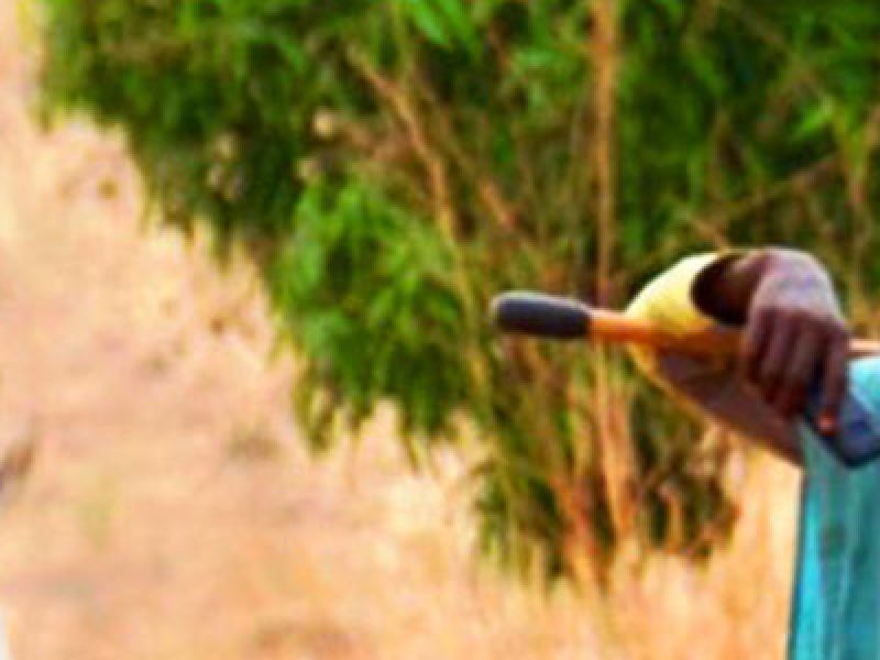 Rencontre avec les Populations Autochtones du Cameroun