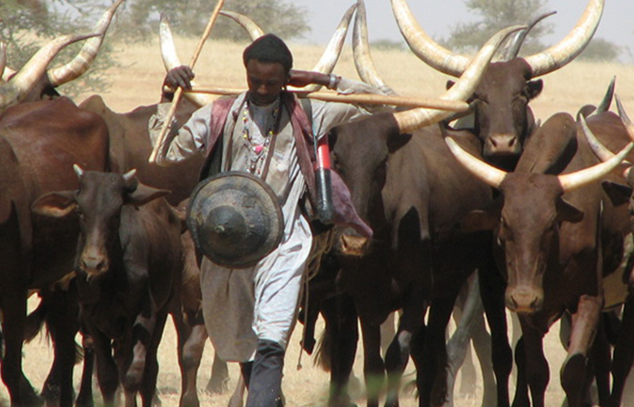 Jour 7 : Poli – Villages Bororo