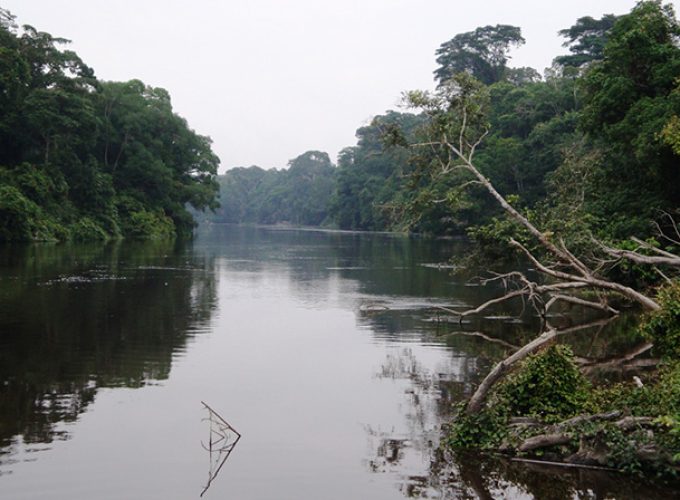 Réserve de Biodiversité du DJA
