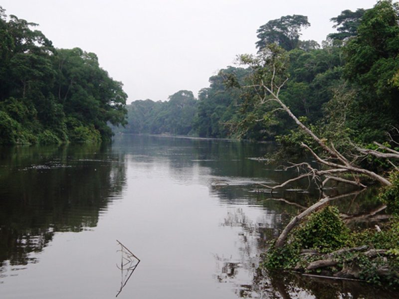 Réserve de Biodiversité du DJA