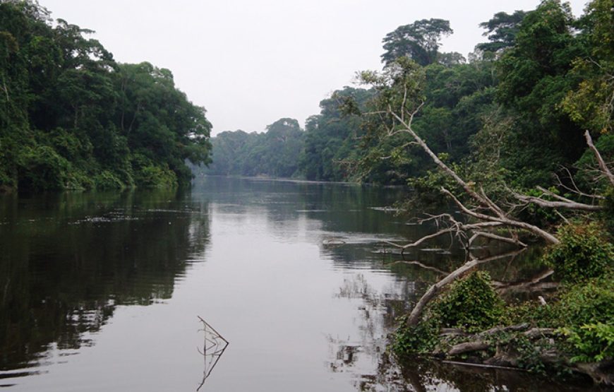 Réserve de Biodiversité du DJA