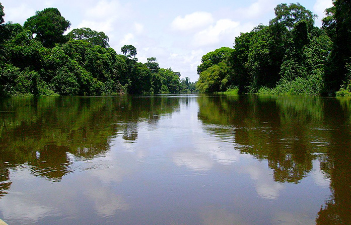 Jour 2 : Ebogo - Pont de la Mefou Yaoundé - Ngaoundéré