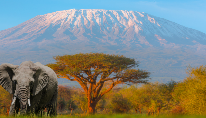Tanzanie
