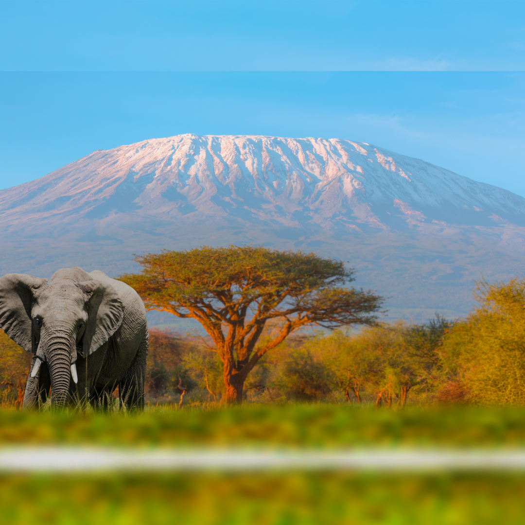 Tanzanie