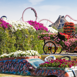 Visiter le Miracle Garden à Dubaï